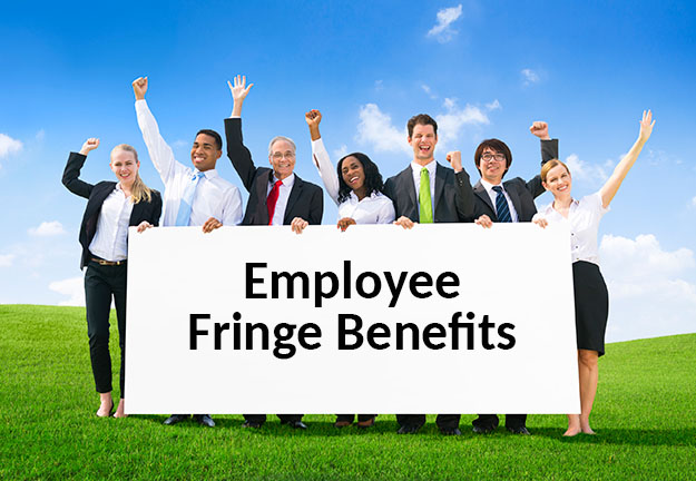 What Are Employee Fringe Benefits?